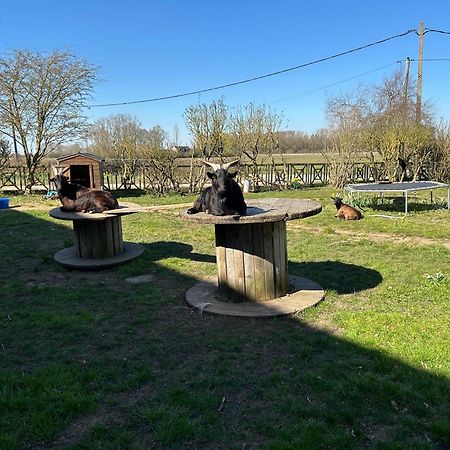La Ferme Du Paradis Merris Bagian luar foto
