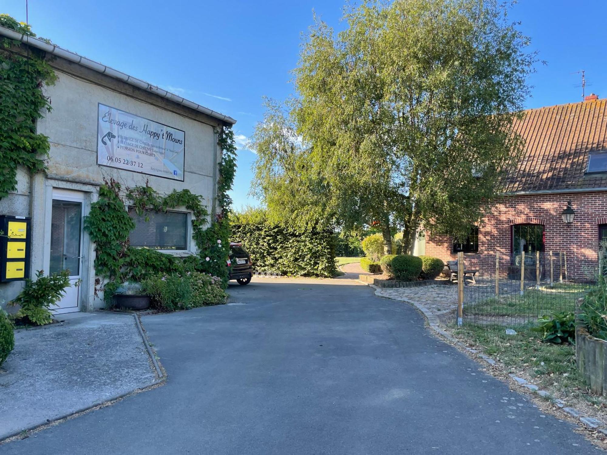 La Ferme Du Paradis Merris Bagian luar foto