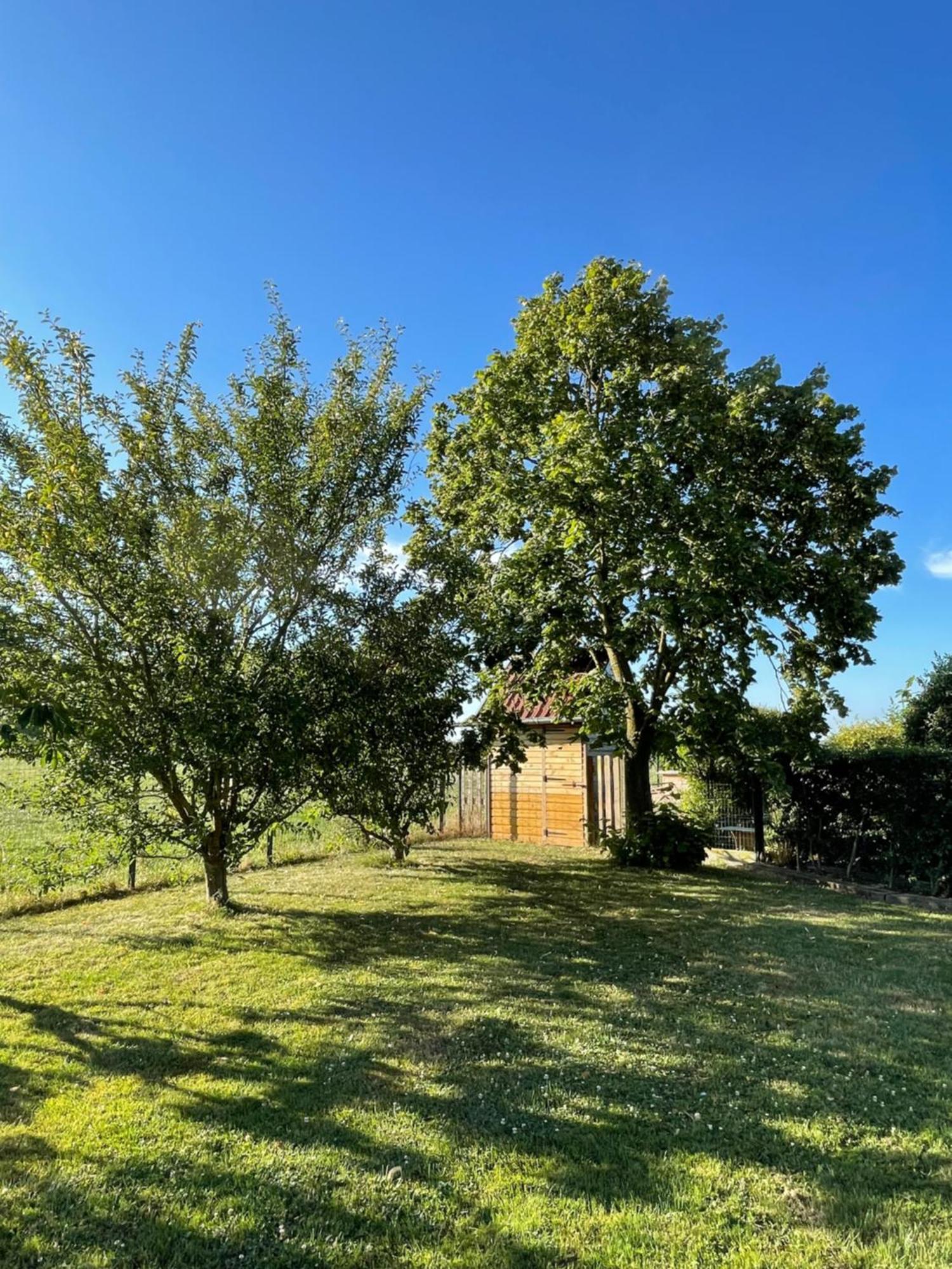 La Ferme Du Paradis Merris Bagian luar foto