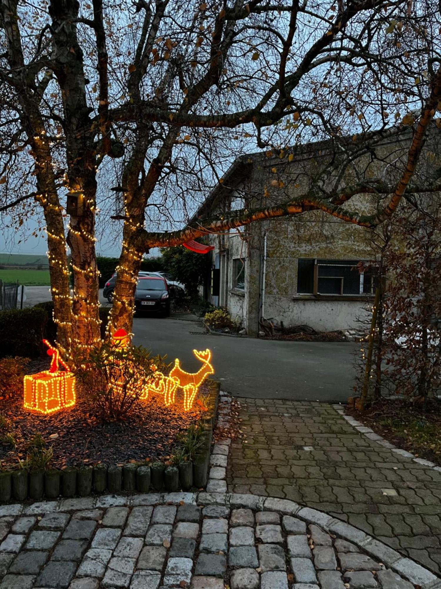 La Ferme Du Paradis Merris Bagian luar foto